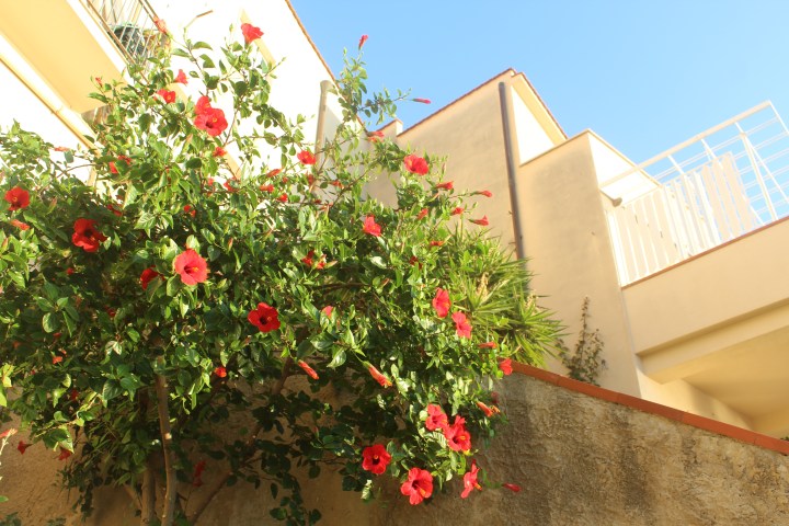 sunrise_castellammare_15