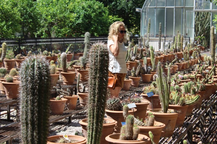botanical-garden-in-palermo_08