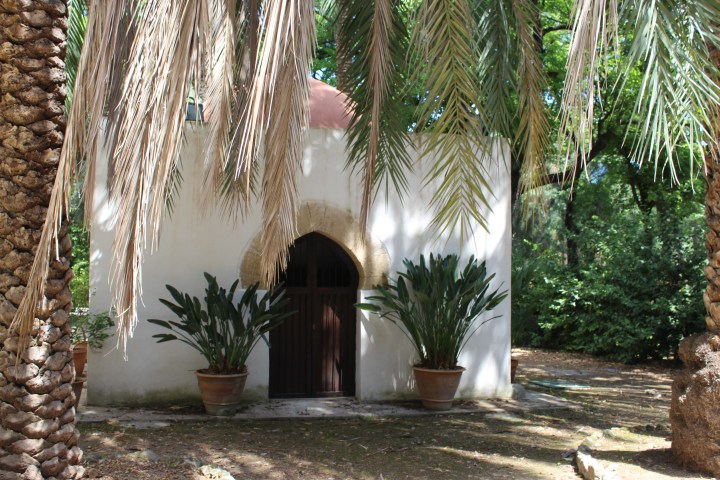 botanical-garden-in-palermo_21