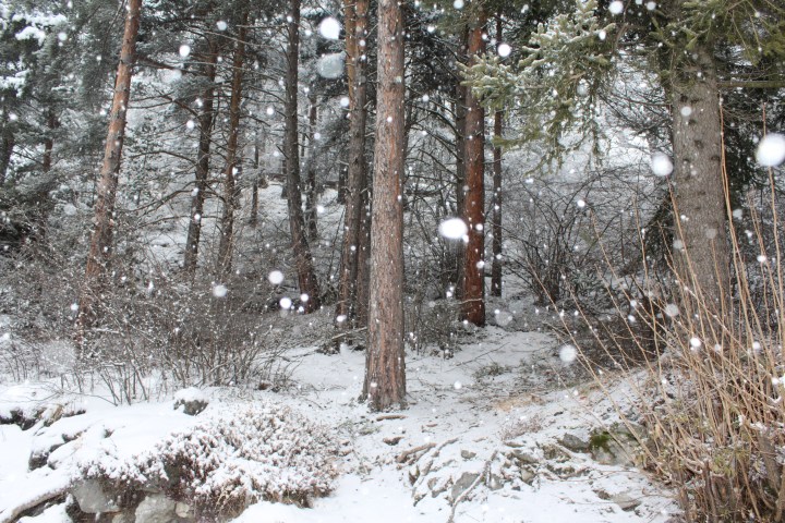 snow-in-bormio-11